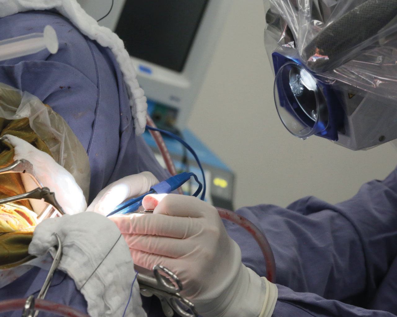 Procedimiento médico especializado